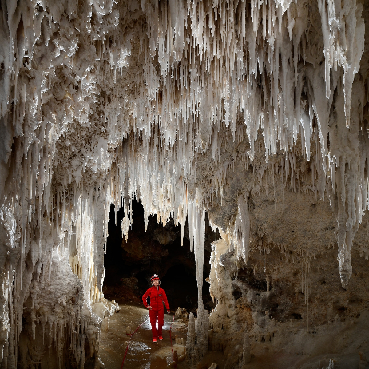 Carlsbad Cavern New Mexico Room (USA - Nouveau Mexique) - Petite galerie couverte de concrétions blanches sèches. La galerie est balisée et le spéléo porte des sandales propres pour ne pas salir le sol couvert de calcite