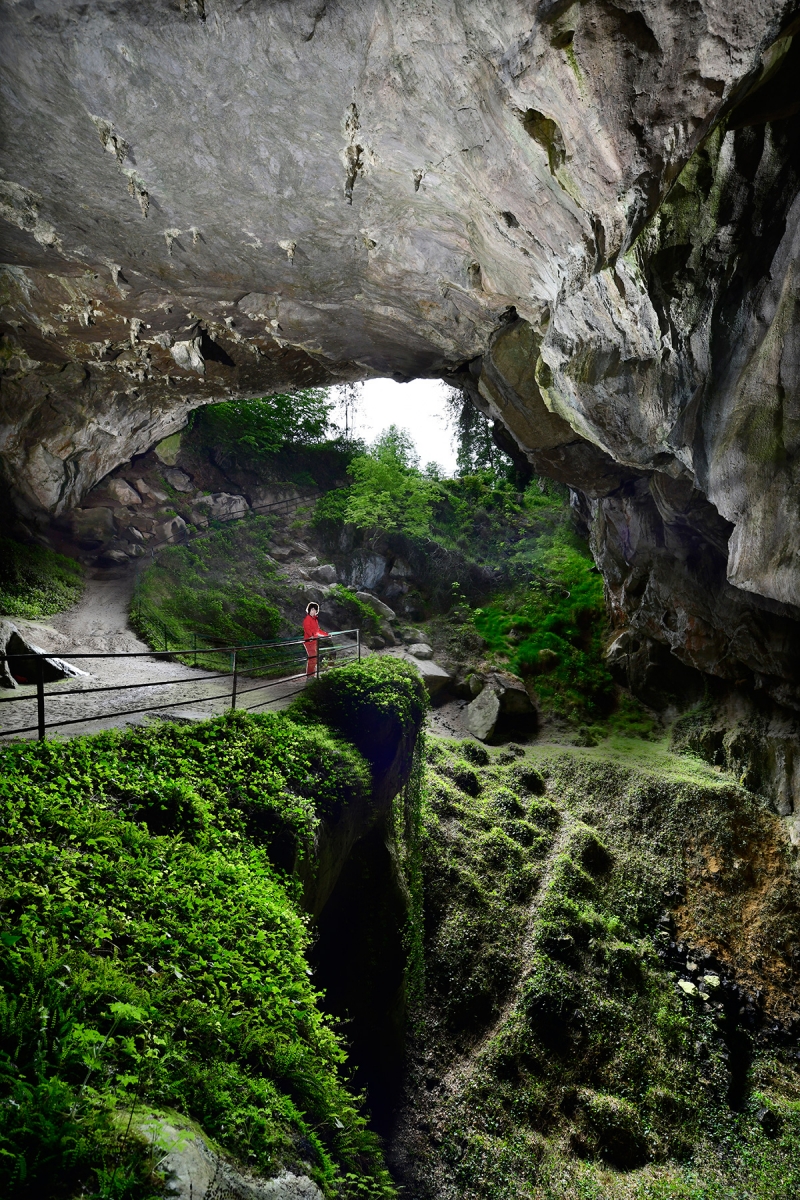 Grotte de Lombrives (Ariège) - Entrée principale vue de l'intérieur