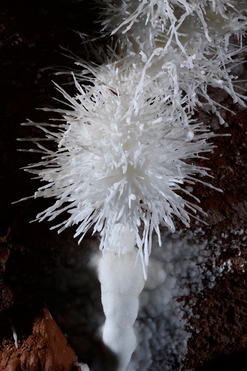 Cave of the Winds (USA - Colorado) -  Concrétion d'aragonite en forme d'oursin