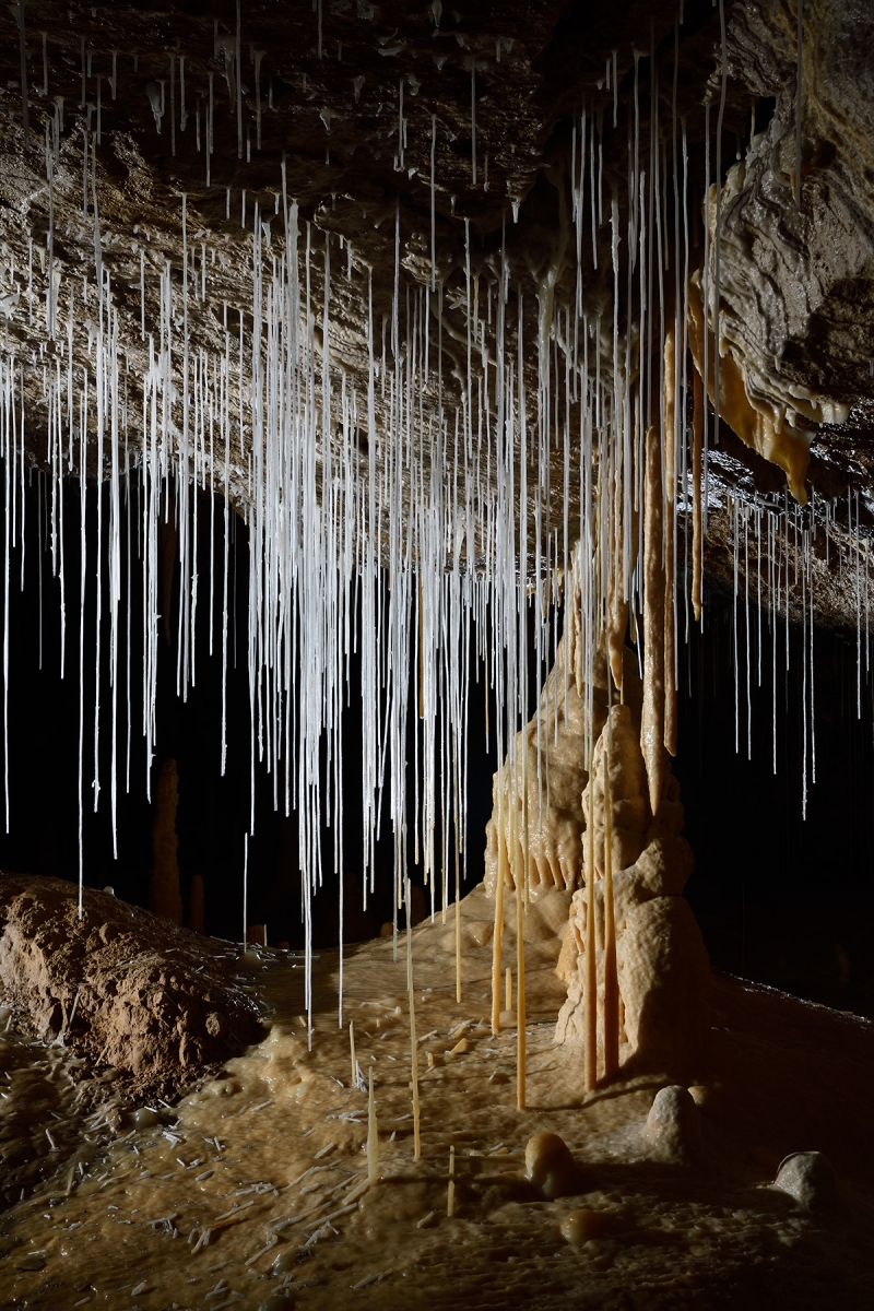 Grotte de Vallorbe (Suisse) - Salle des aiguilles : ensemble de fistuleuses à côté d'un petit pilier