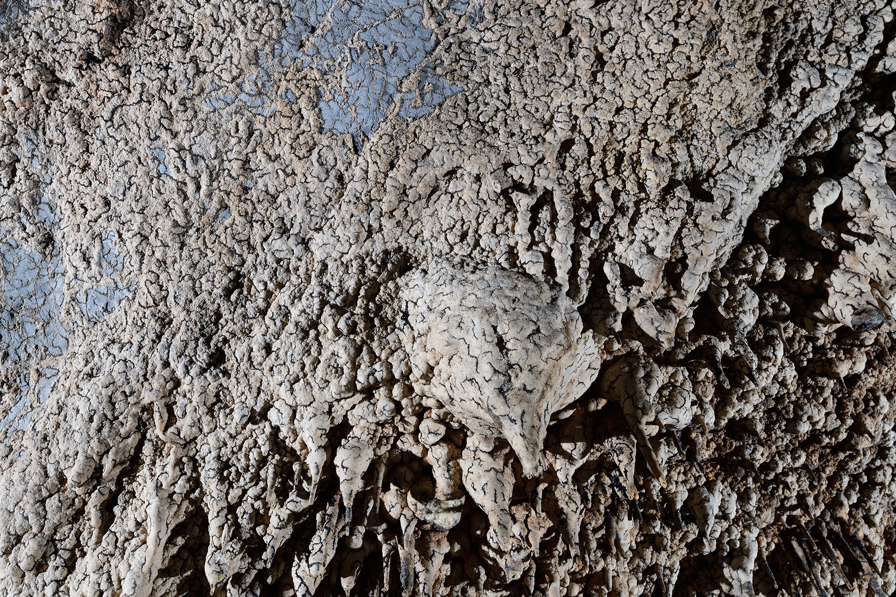 Pestera de la Pod - Détail de vermiculations au plafond d'une galerie (ces vermiculations sont visibles aussi bien sur la roche que sur les concrétions)