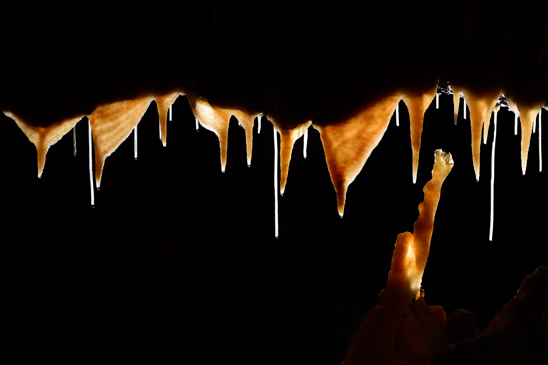 Grotte de Han (réseau sud) - Salle de la Pentecôte : rangée de concrétions orange au plafond en contre jour