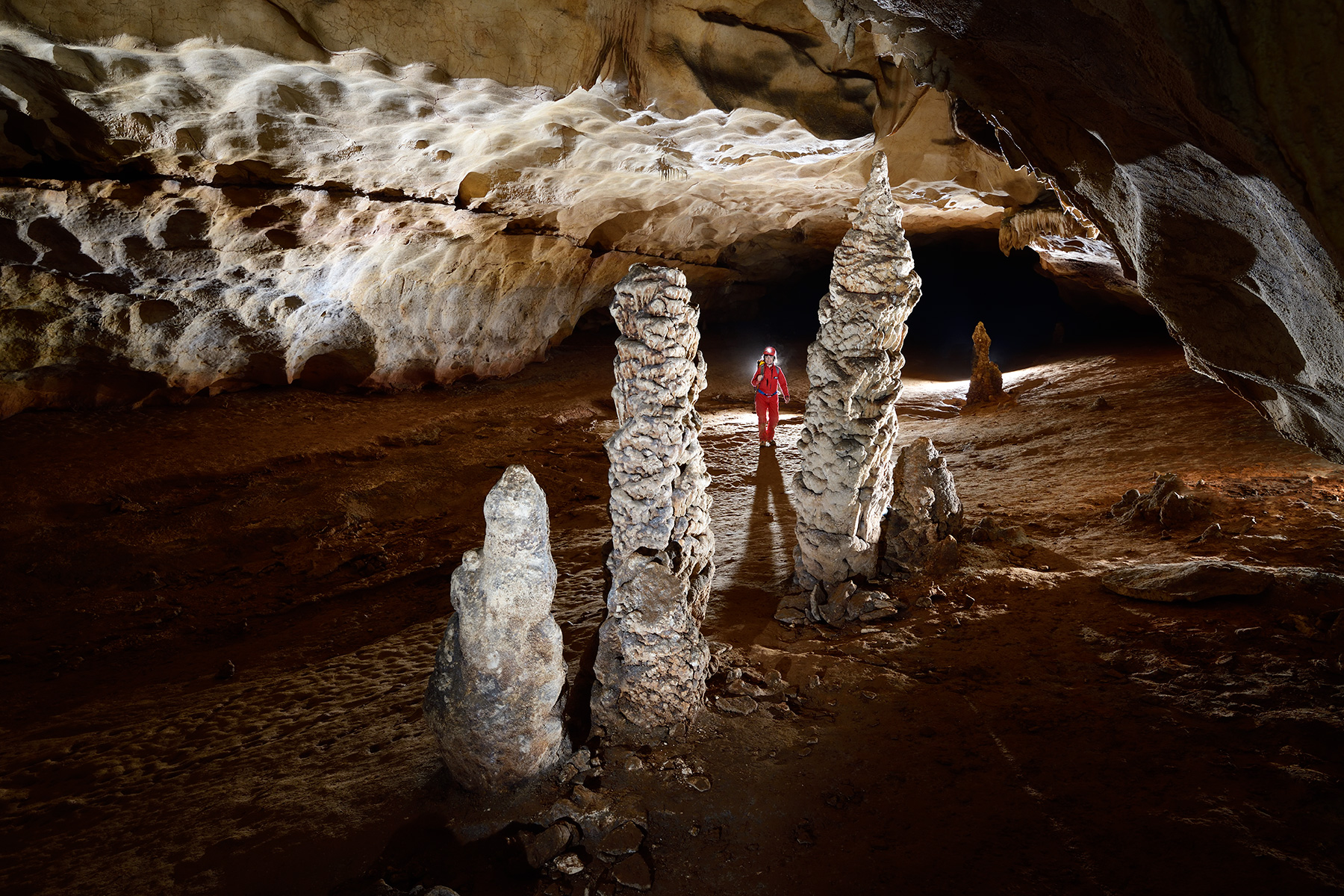 Grotte de Saint-Marcel d'Ardèche (galerie d'entrée) - Les cyprès