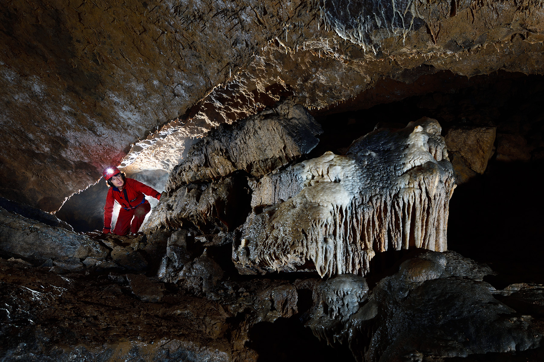 Grotte de Han sur Lesse - Réseau d'Antiparos : progression dans la partie "safari"