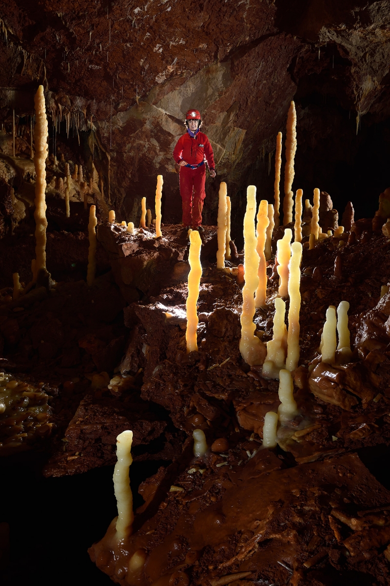 Grotte de Dargilan (réseau de l'Eglise) - Forêt de stalagmites dans la salle Cazals