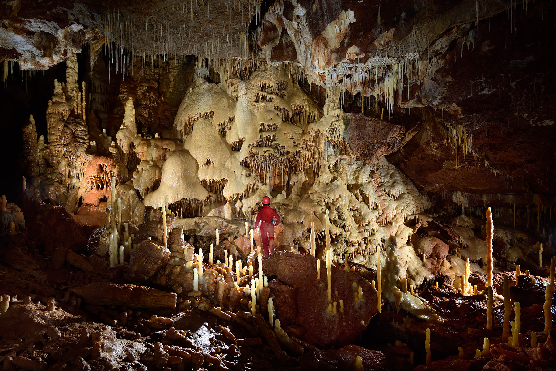 Grotte de Dargilan (réseau de l'Eglise) - Salle Cazals avec les parois couvertes de calcite jaune et la forêt de stalagmites