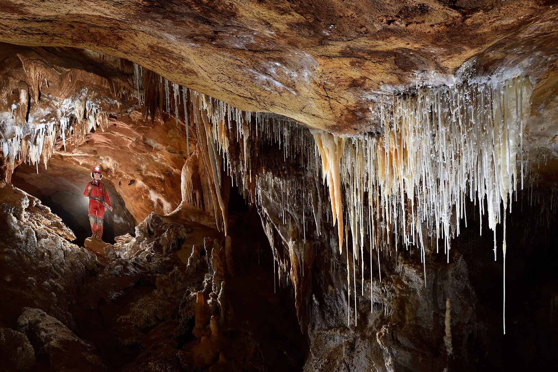 Grotte du Macoumé (Hérault) - Galerie avec rideau de fistuleuses