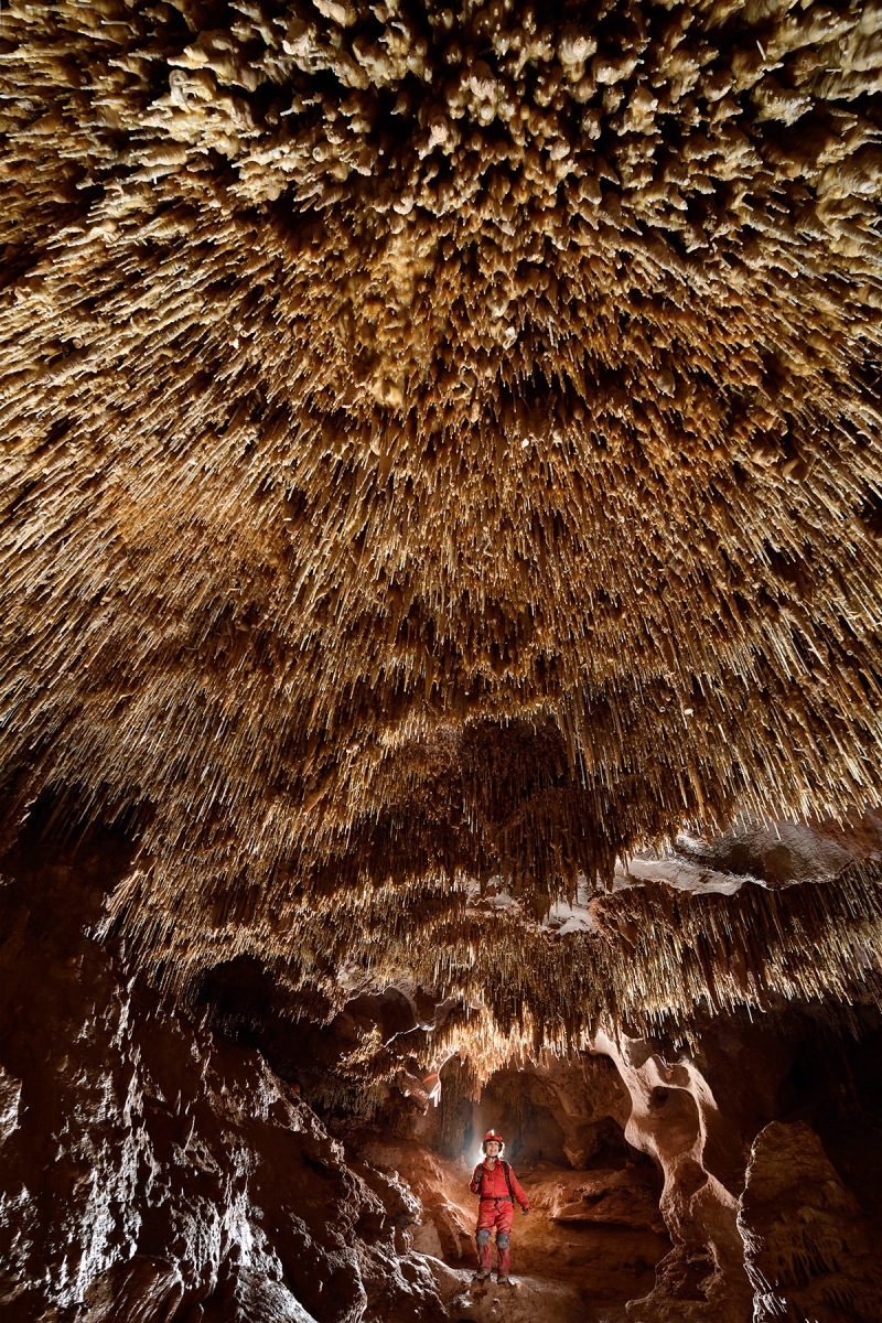 Grotte du Sud de l'Arizona (USA) - galerie avec le plafond couvert de fistuleuses