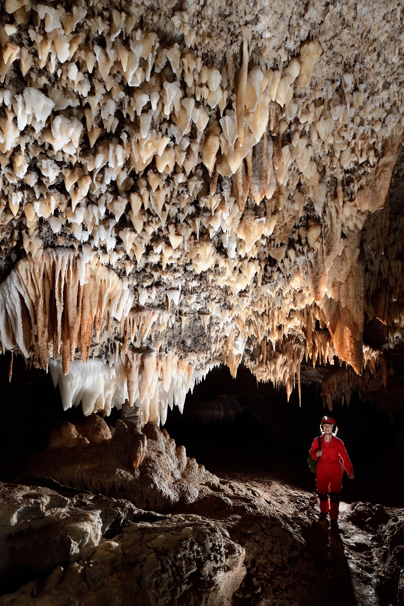 Grotte du Sud de l'Arizona (USA) - Spéléo dans grande galerie avec le plafond couvert de mini draperies blanches et orange