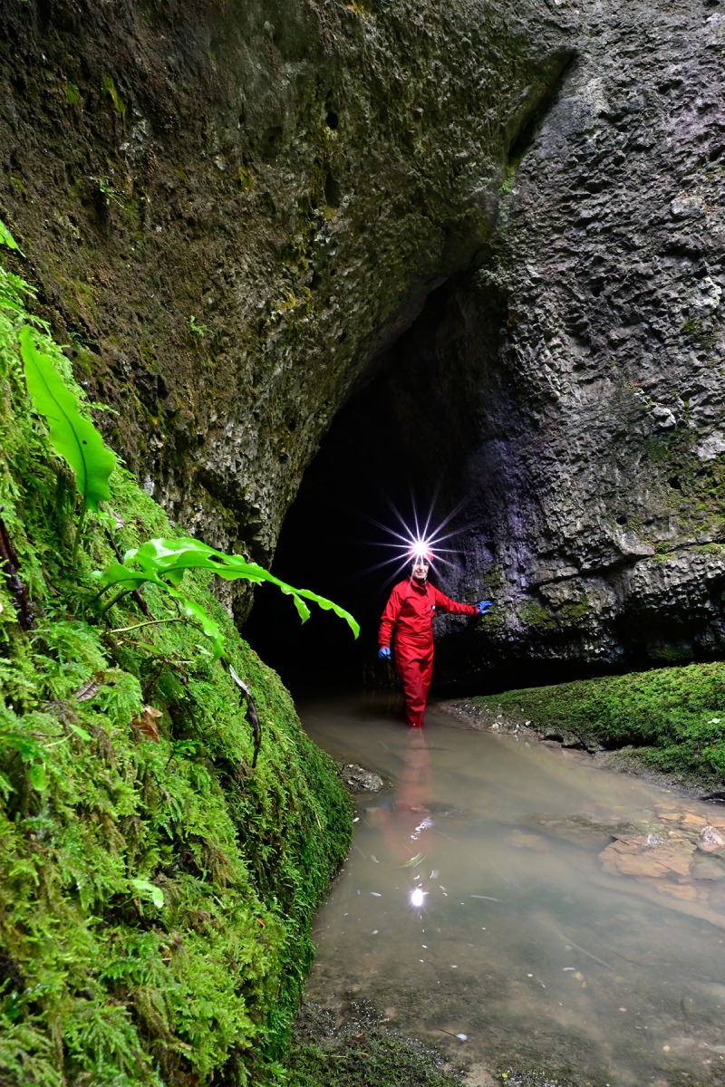 Grotte de la Vieille Folle (Doubs) - Porche d'entrée avec scolopendre  sur la paroi en premier plan et spéléo en arrière plan