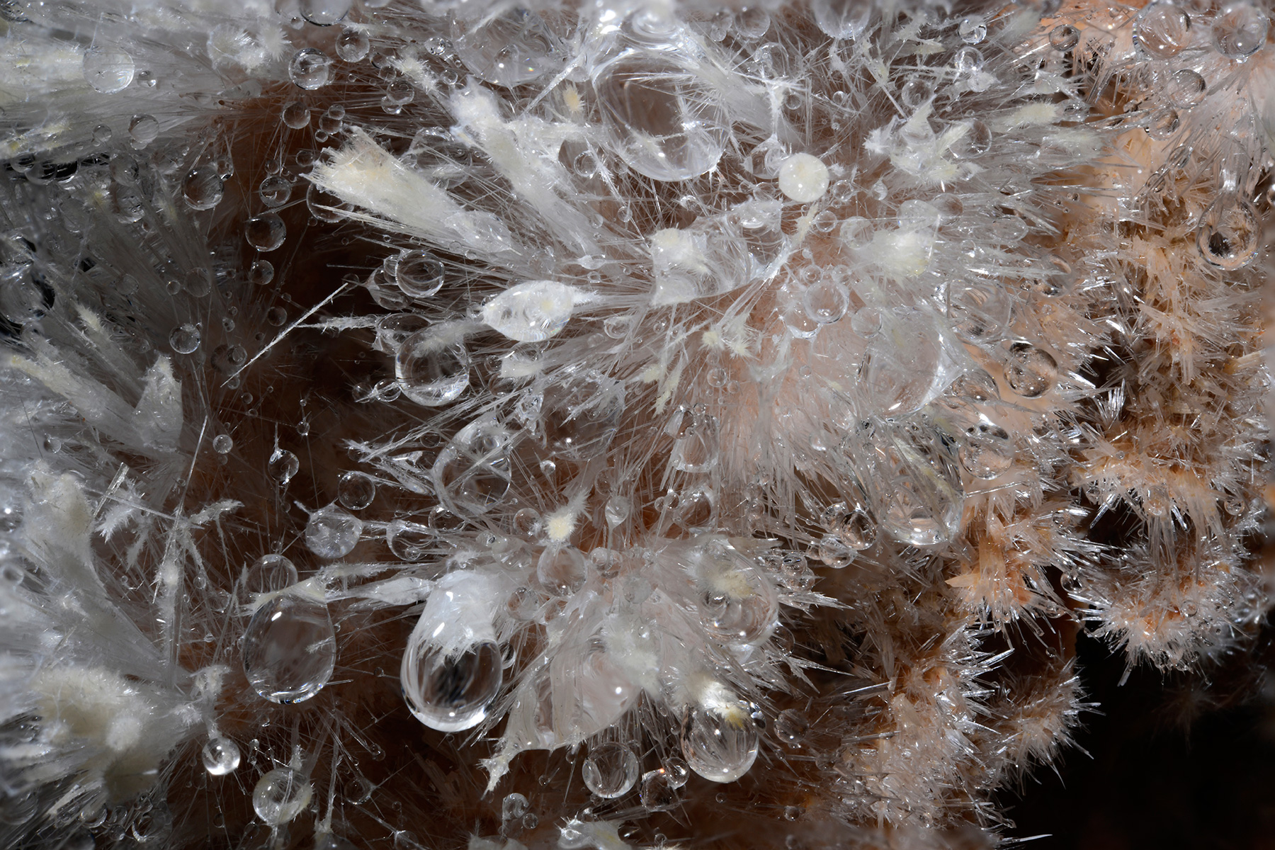 Grotte de Clamouse (Hérault) - Gouttes d'eau dans un bouquet d'aiguilles d'aragonite. (assemblage de 15 photos en focus stacking).
