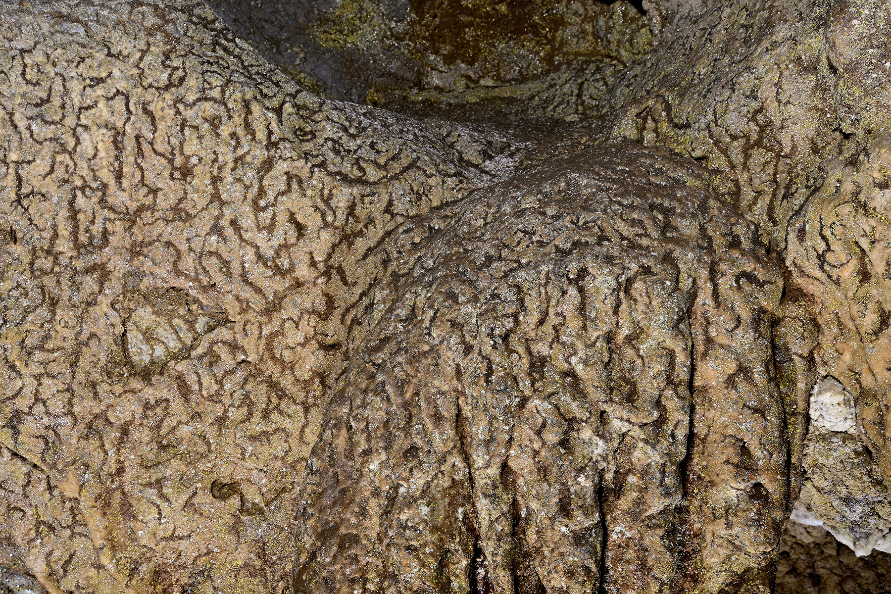 Grotte de la Maoure (Haute Garonne) - Vermiculations sur les parois de la galerie d'entrée