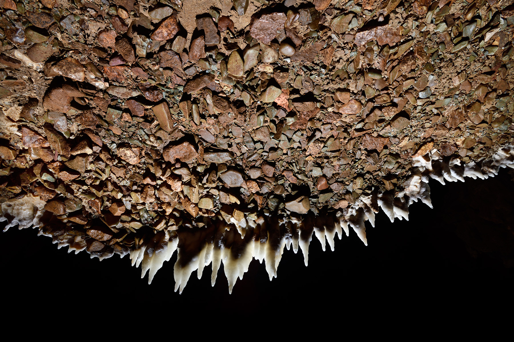 Grotte d'Orquette (Hérault) - Reste d'un remplissage de galets déposés par la rivière vu par dessous, avec des stalactites se développant sur sa bordure. Ces galets sont soudés par la calcite