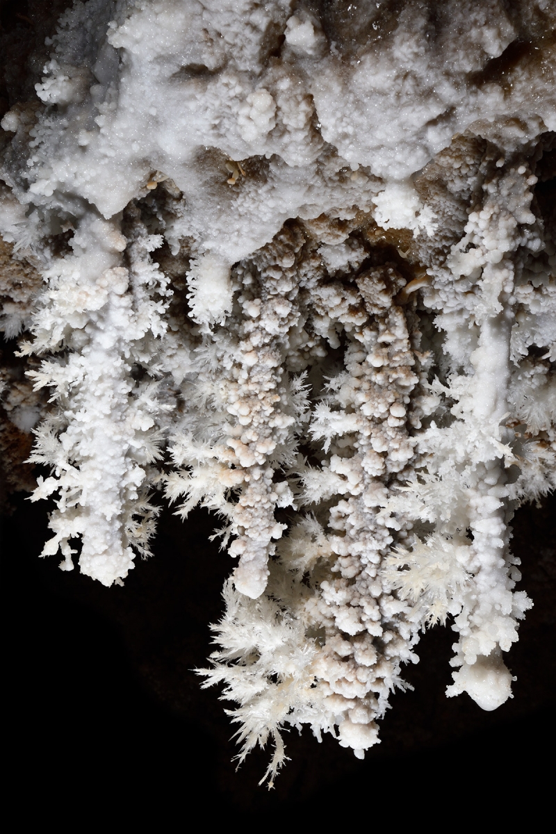 Gouffre de Cabrespine (Aude) - Réseau Capdeville : ensemble de stalactites couvertes d'aragonite 
