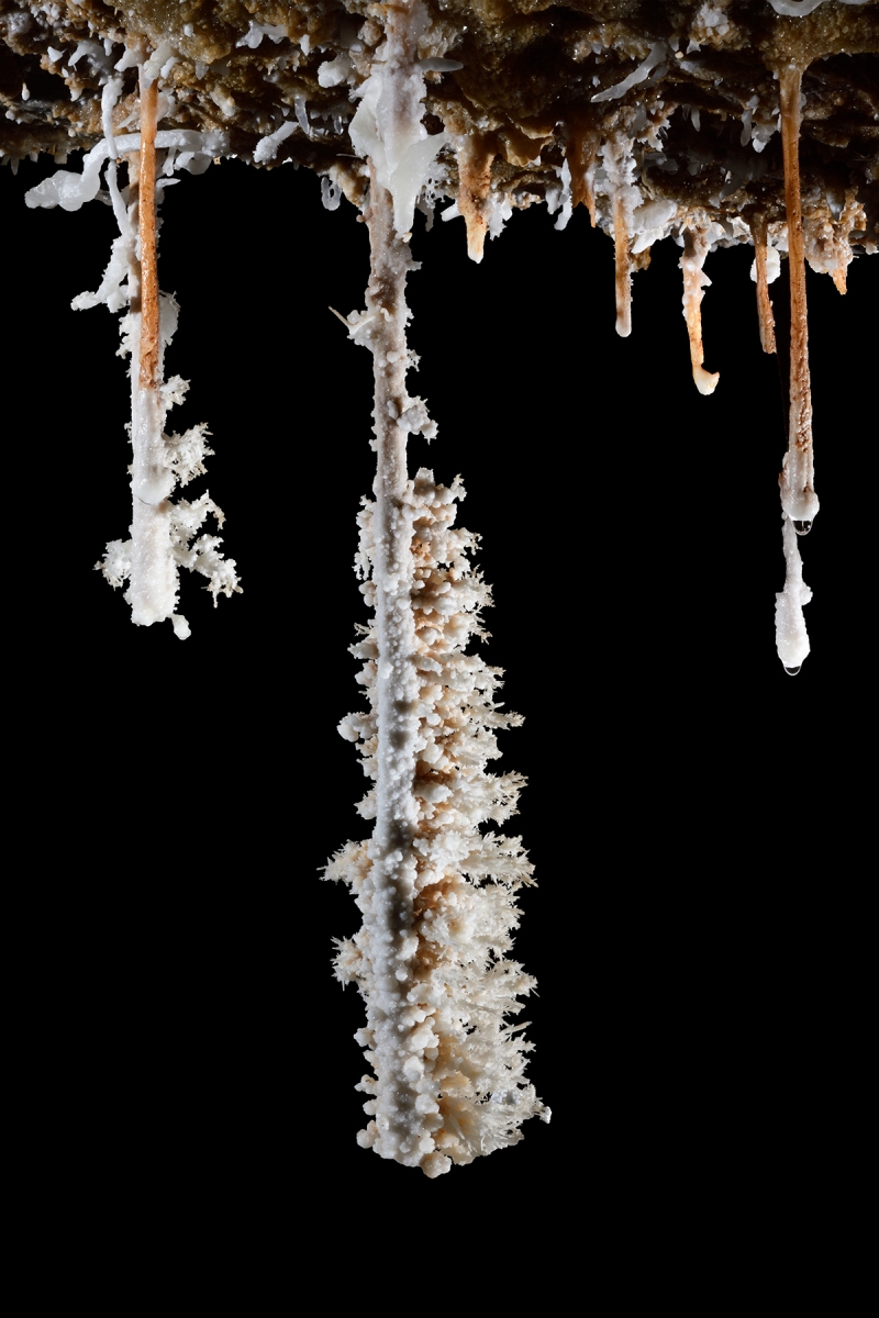 Gouffre de Cabrespine (Aude) - "Brosse à dent" (cristallisations d'aragonite se développant à l'horizontal sur une stalactite)