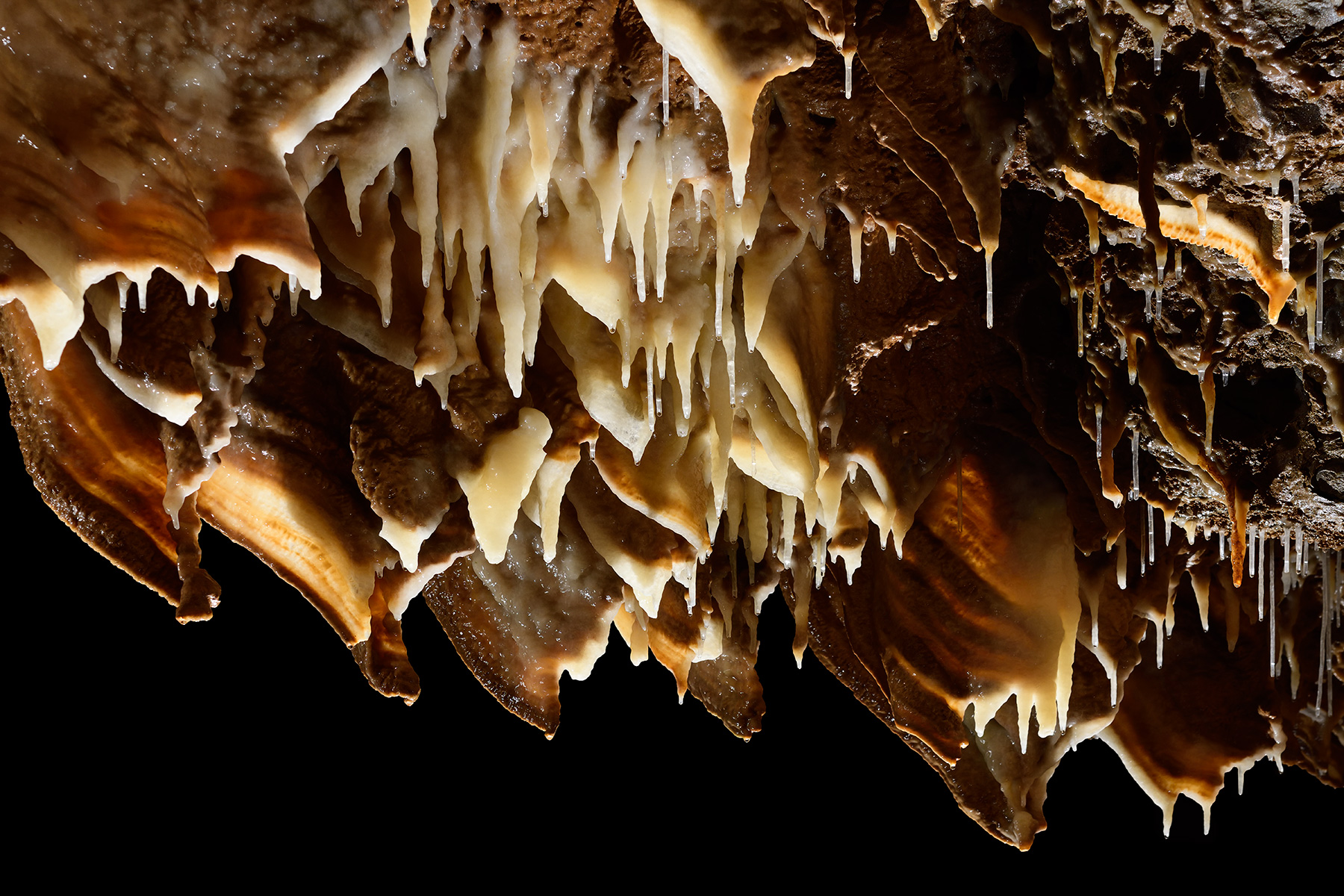 Grotte de Trabuc (Gard) - Ensemble de stalactites et de draperies dans le couloir des merveilles (partie aménagée)