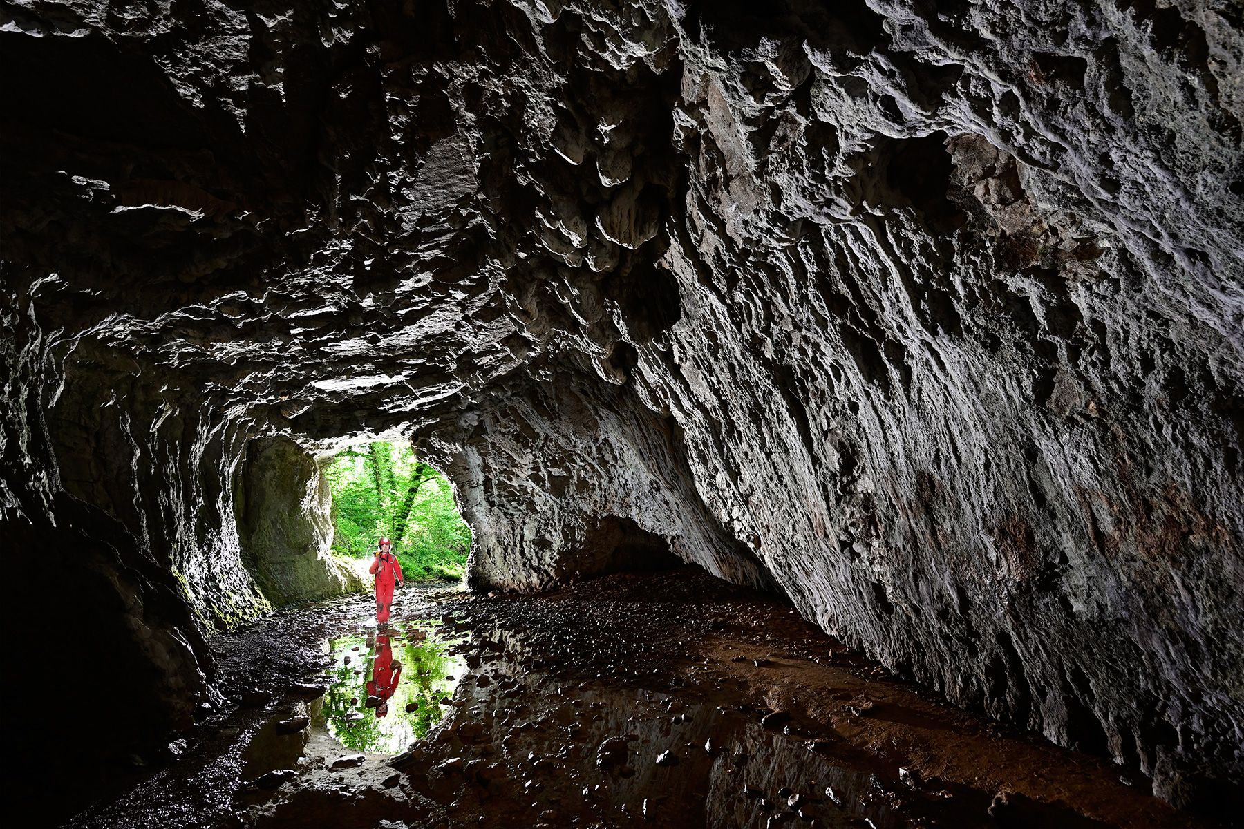 Grotte de Beune (Doubs) - Galerie d'entrée avec jour en fond (vue de l'intérieur)