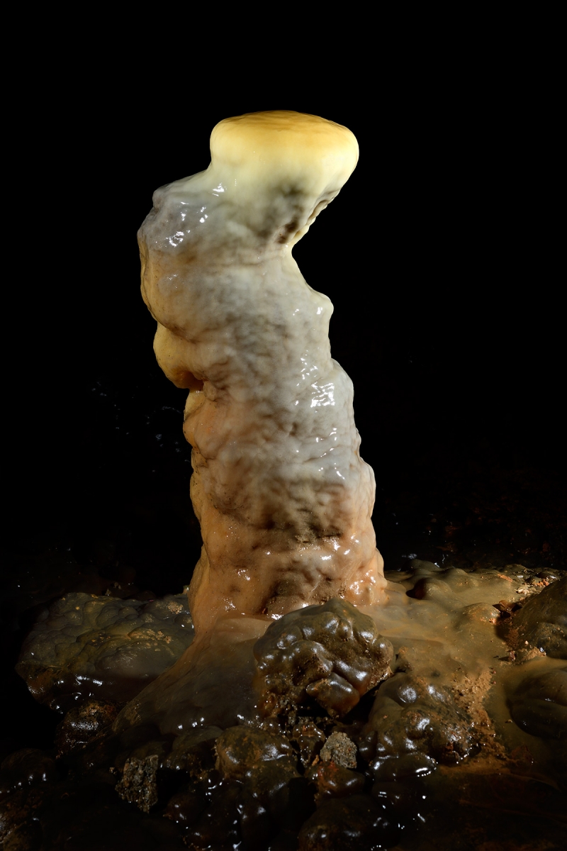 Grotte de Dargilan (Aveyron) - Salle du chaos : stalagmite avec partie supérieure haut jaune (figurine chinoise))