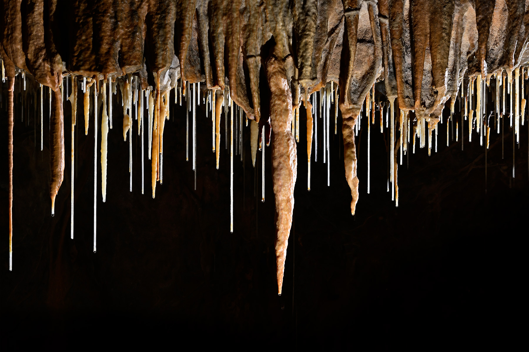 Grotte de Foissac (partie touristique) - Ensemble de stalactites et fistuleuses en contre jour dans la partie finale