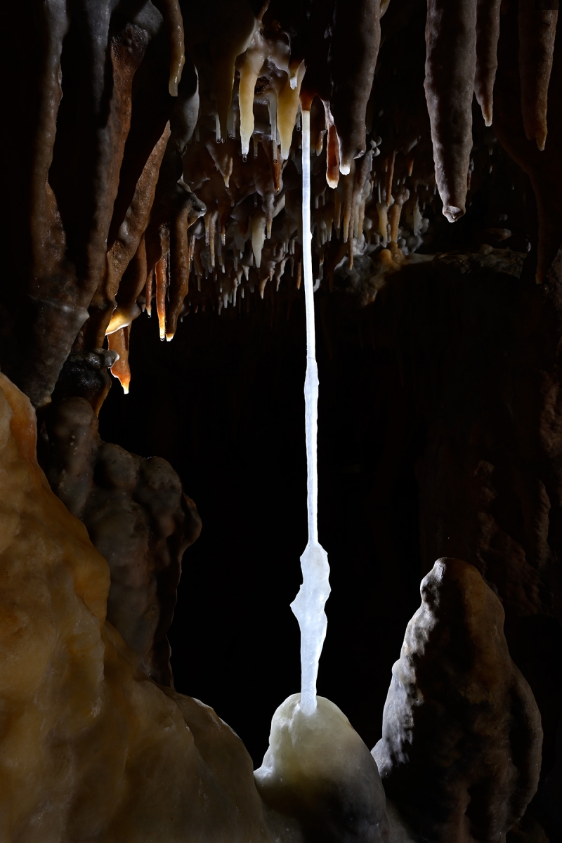 Grotte de Foissac (partie touristique) - Fistuleuse ayant rejoint une stalagmite