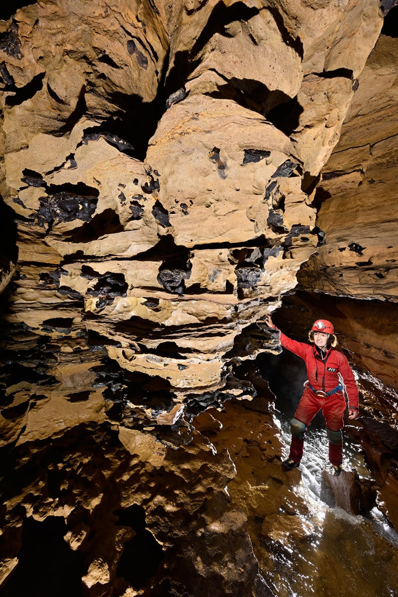 Grotte de la Borne aux Cassots (Doubs) - Paroi avec grandes chailles apparentes 