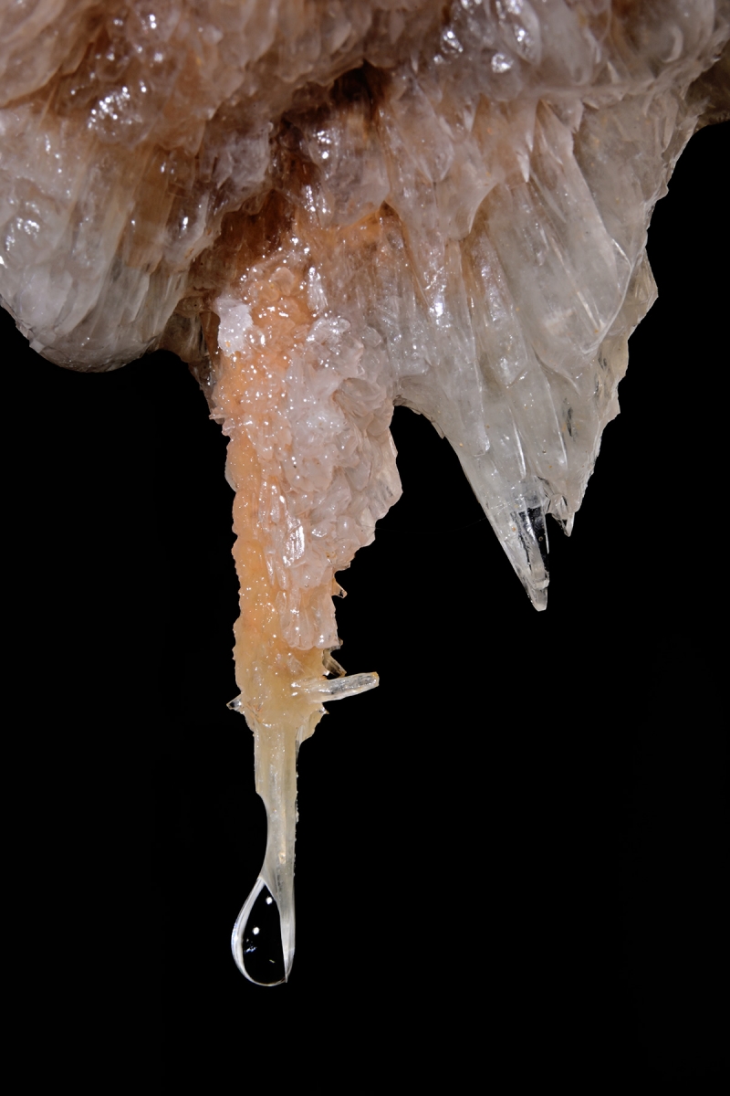 Grotte de Clamouse (Hérault) - Stalactite constituée de cristaux de calcite