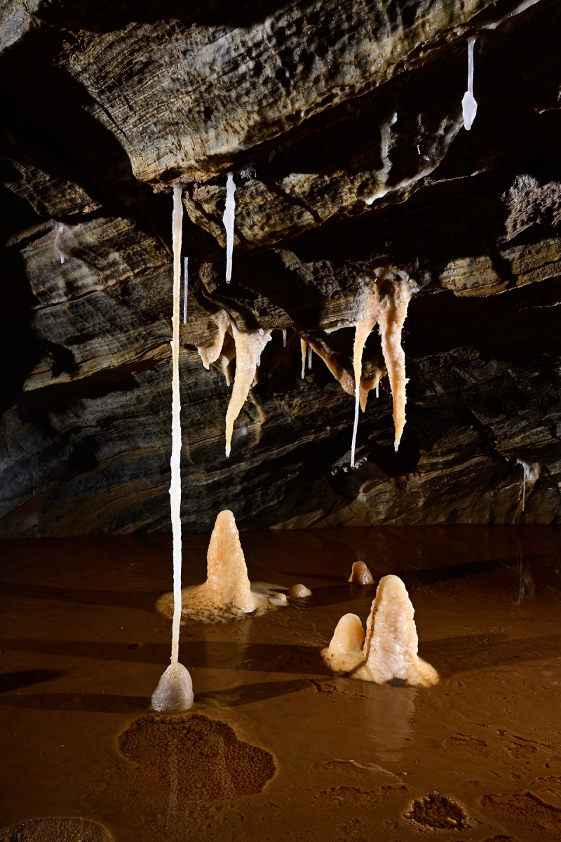 Grotte de Roquebleue (Hérault) - Galerie des volcans - Ensemble de concrétions dans un gour (fistuleuse, stalactites, stalagmites)