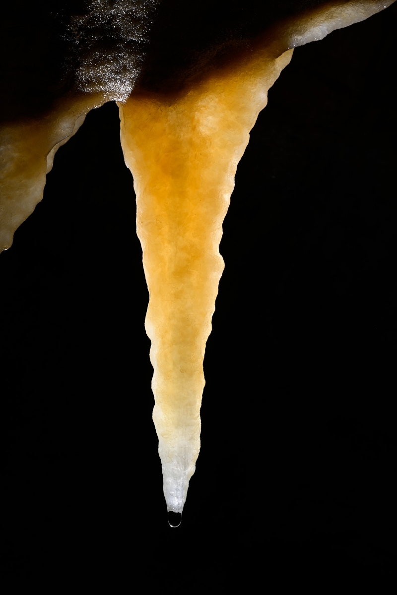 Grotte de Roquebleue (Hérault) - Galerie des volcans - Stalactite jaune translucide (carotte)  