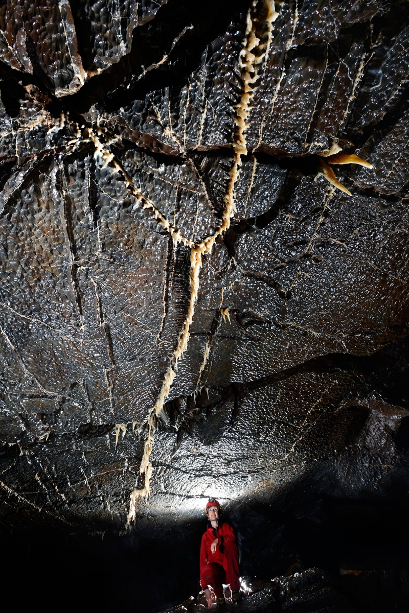 Nova Amaterska Cave (Tchéquie, Moravie, Parc National de Podiji)- Détail des calcaires dévoniens noirs avec des fractures remplies de calcite blanche 
