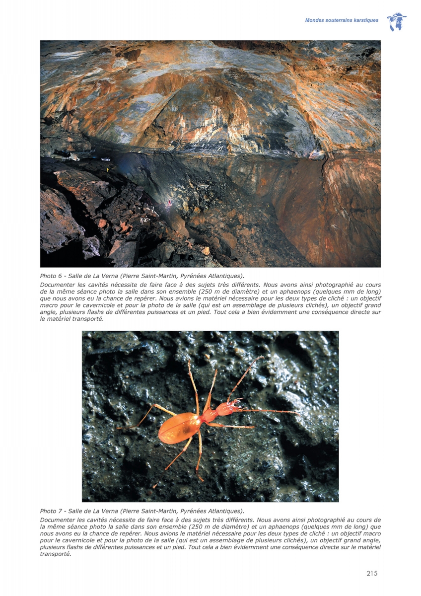 Dynamiques environnementales 54-55 Page 215