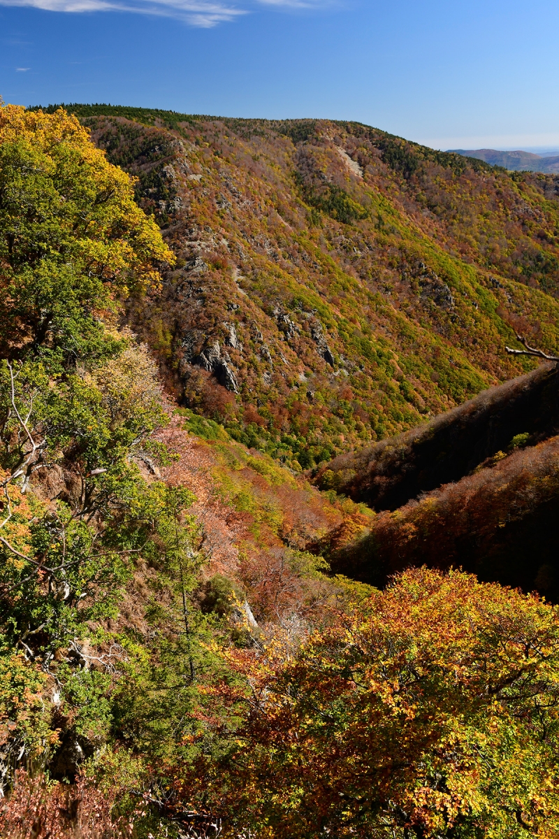Vallée d'Orgon avec feuillages d'automne (Cévennes)