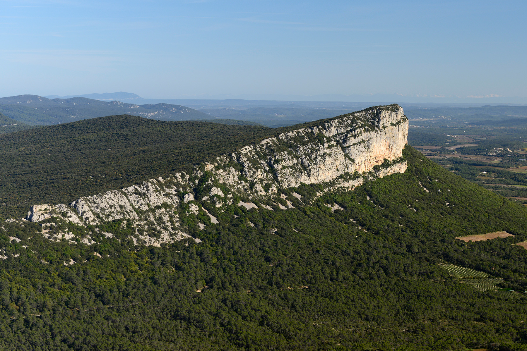 Pic Saint Loup (Hérault) - Falaises de l'Hortus vues depuis la crête ouest