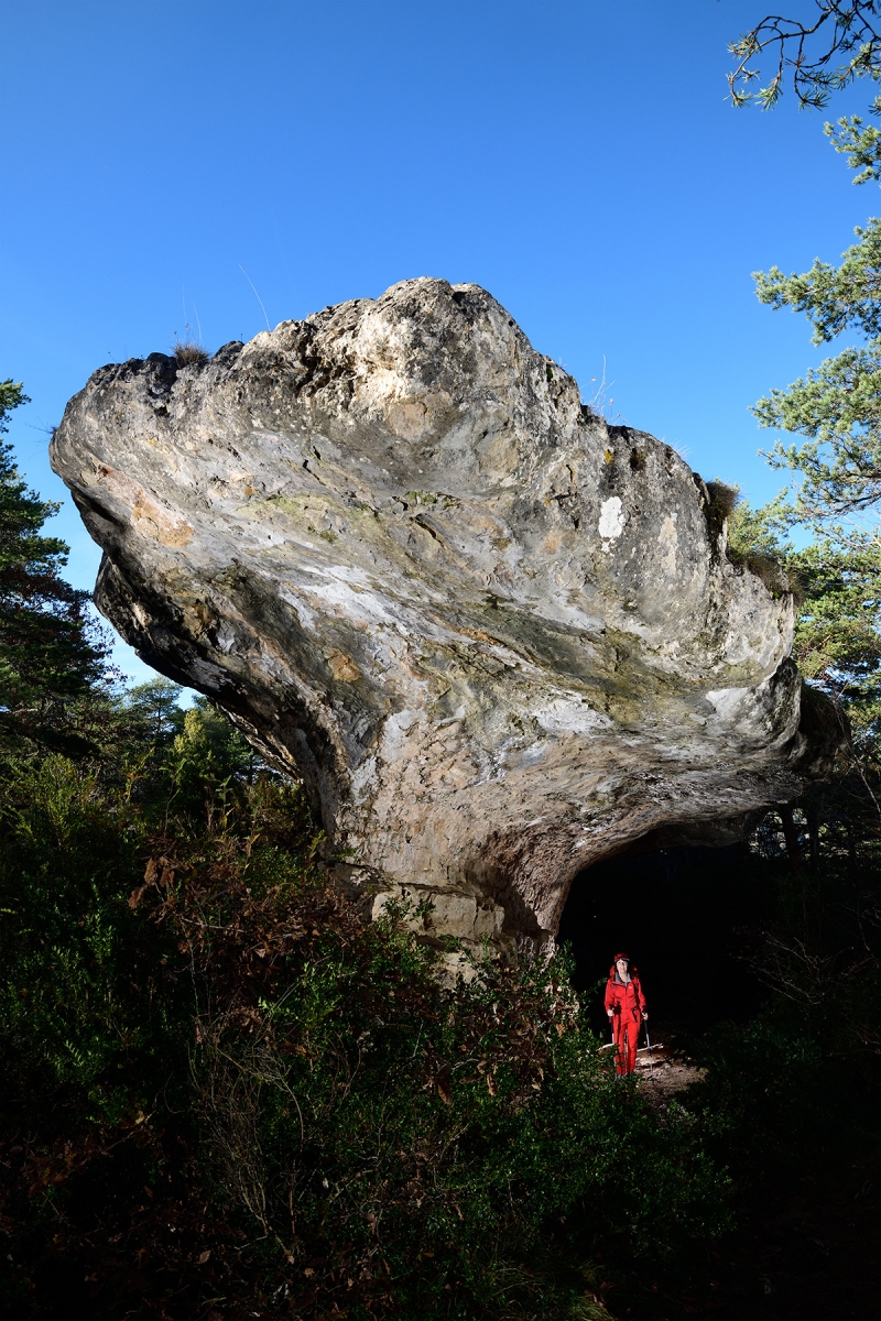 Rocher du champignon préhistorique (Peyreleau)