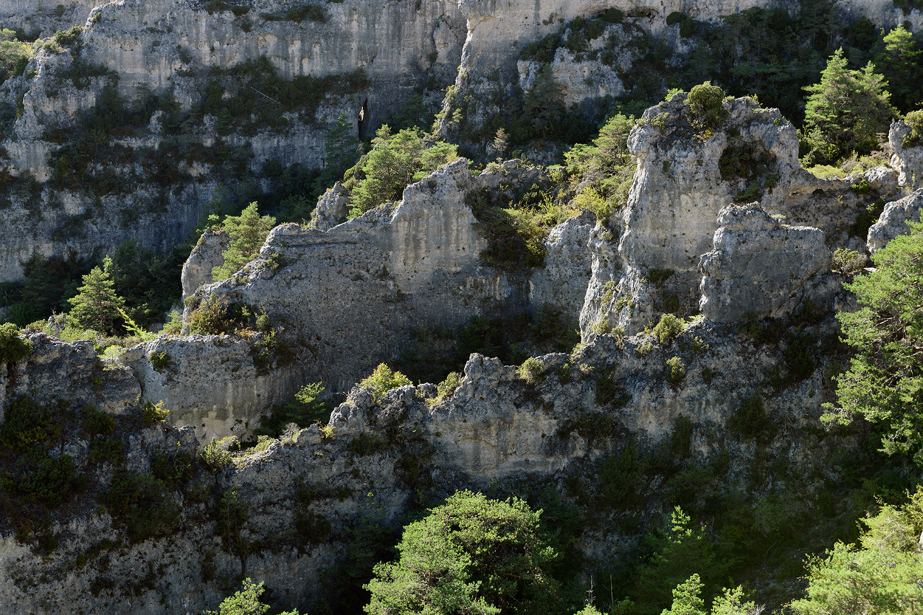 Site ruiniforme de Montpellier-le-Vieux (Causse Noir, Aveyron) - Rochers dolomitiques ruiniformes au pied du Douminal 
