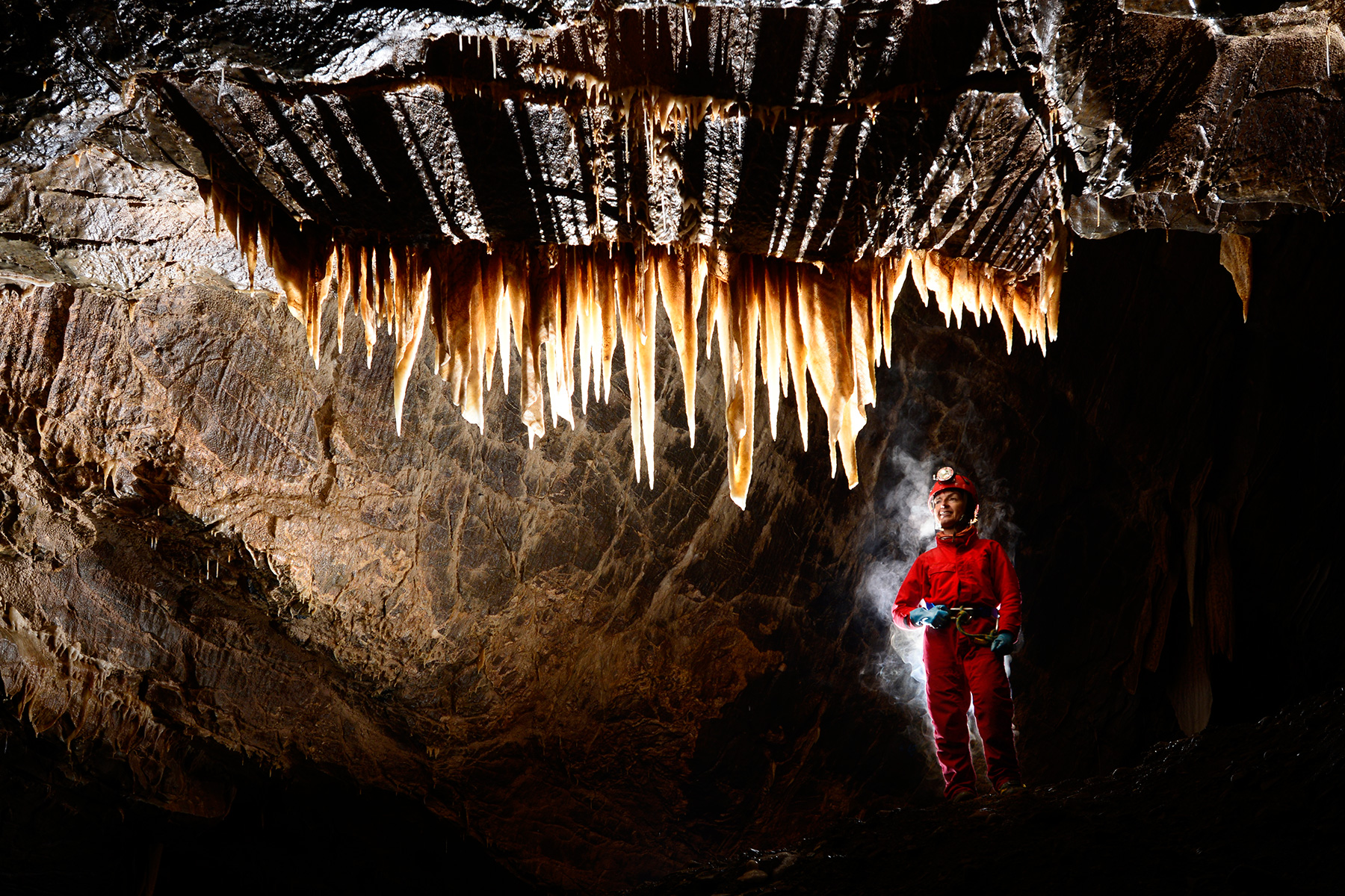 Stara Amaterska Cave (Tchéquie, Moravie, Parc National de Podiji) - Rideau de stalactites avec spéléo derrière.