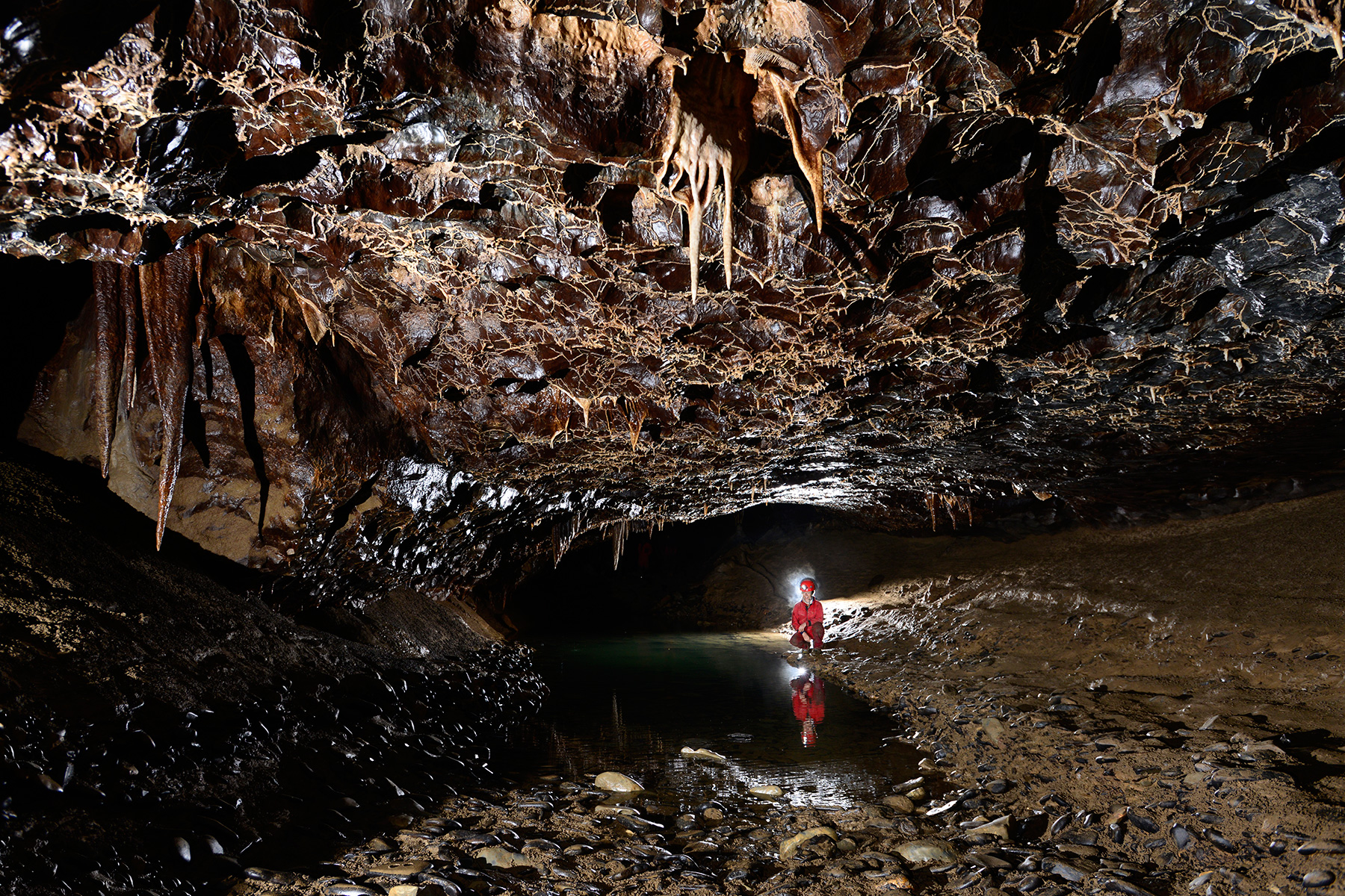 Nova Amaterska Cave (Tchéquie, Moravie, Parc National de Podiji)- Laisse d'eau dans la galerie principale
