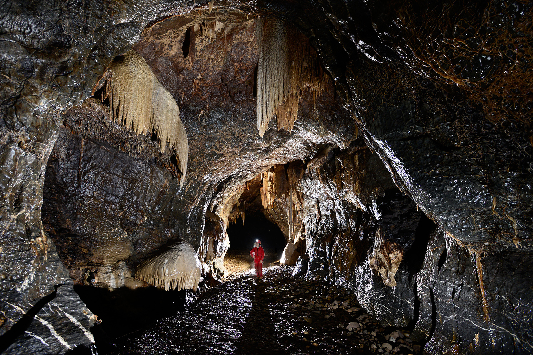 Nova Amaterska Cave (Tchéquie, Moravie, Parc National de Podiji)- Réseau du labyrinthe
