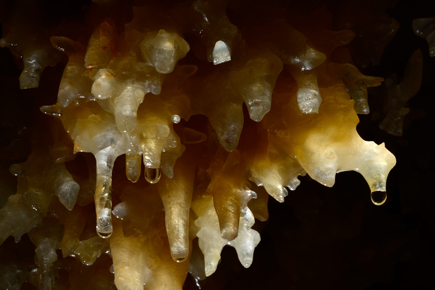 Grotta Impossibile (région de Trieste, Italie) - Cristaux de calcite jaune