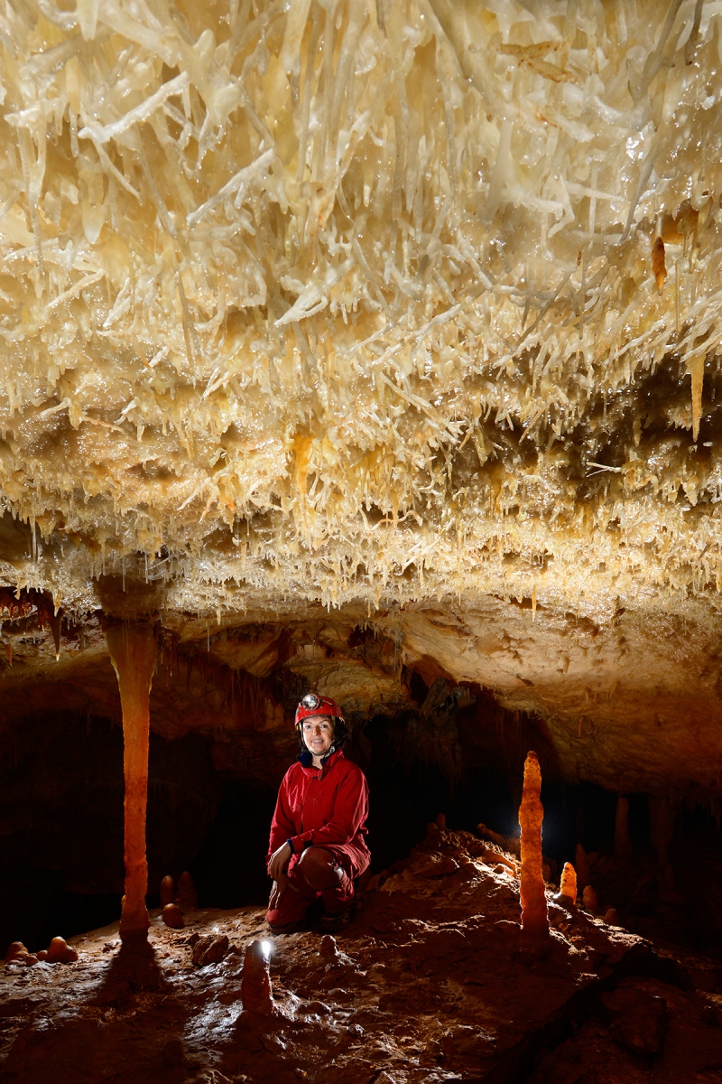 Grotte de la Toussaint (Gard) - Petite salle avec plafond couvert d'excentriques
