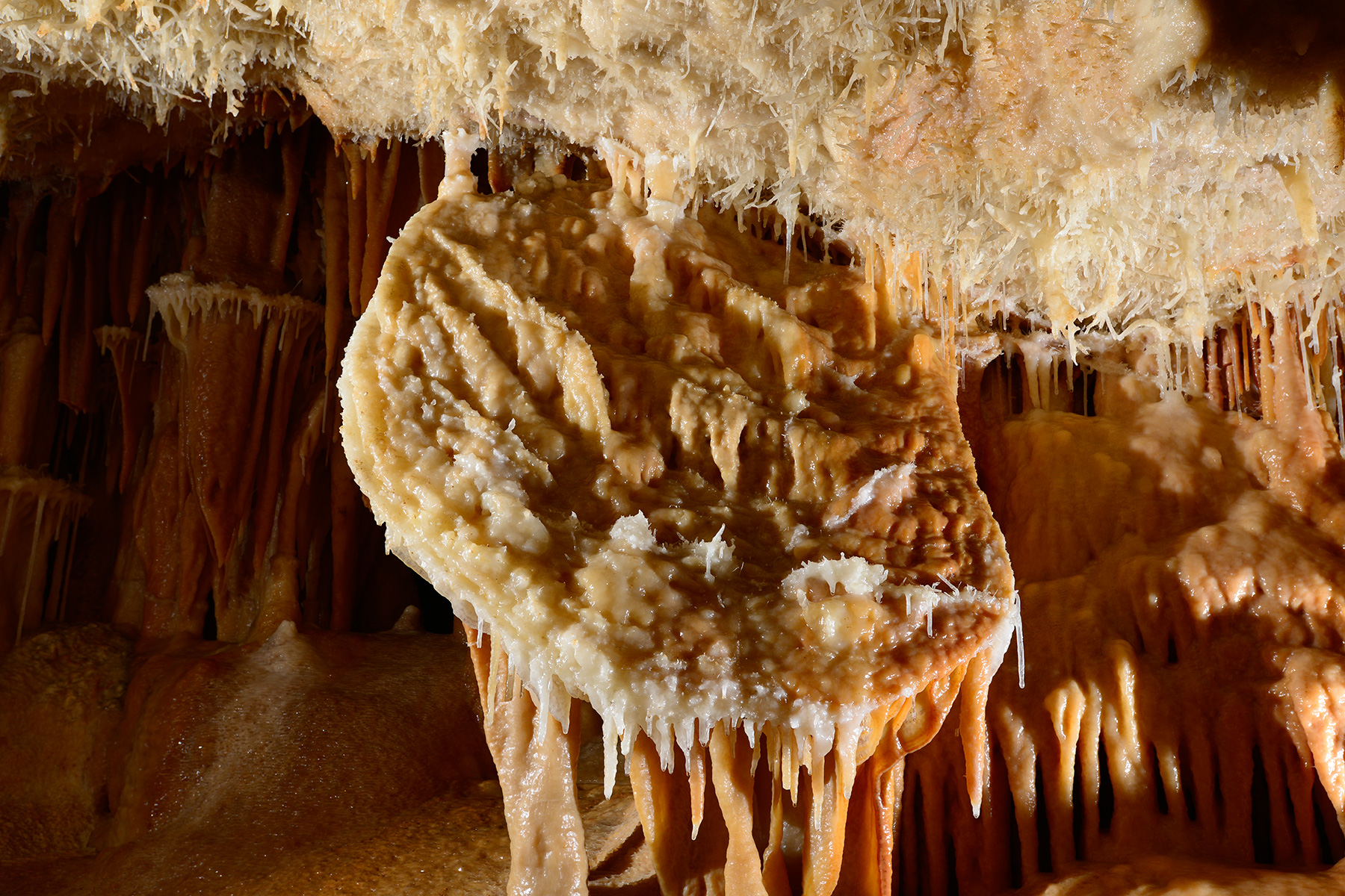 Grotte de la Toussaint (Gard) - concrétion en forme de disque