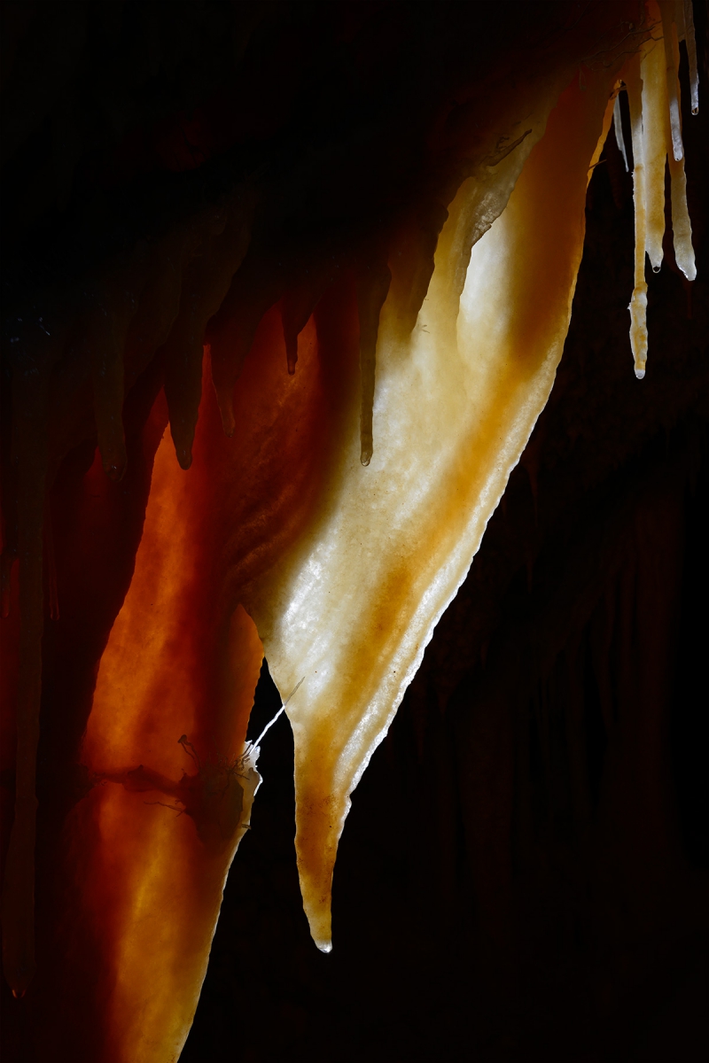 Grotte de la Toussaint (Gard) - Draperie translucide (contre-jour)
