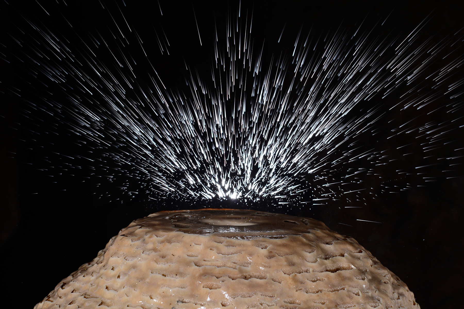 Cova Den Canet (Majorque, Baléares, Espagne) - Explosion d'un goutte d'eau tombant sur une stalagmite