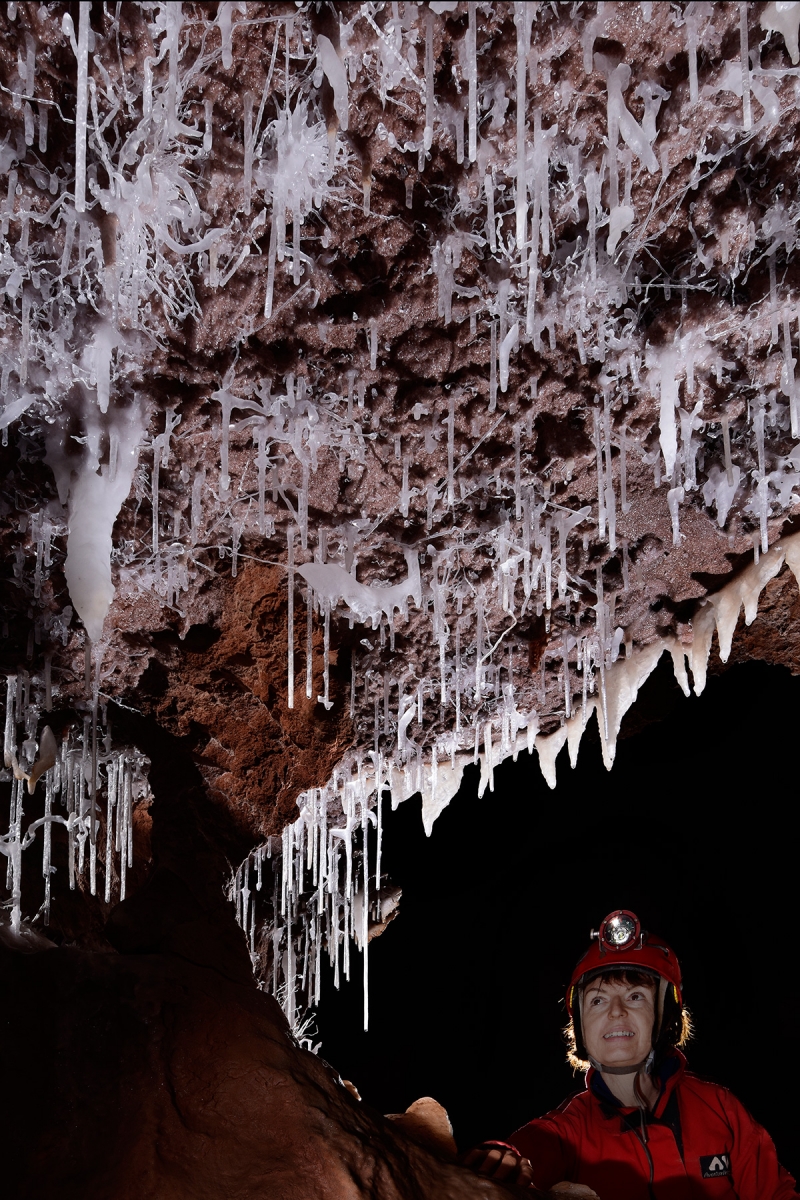 Barralong Cave (Jenolan Karst Conservation Reserve, Australie) - Spéléo regardant un plafond avec fistuleuses et excentriques translucides