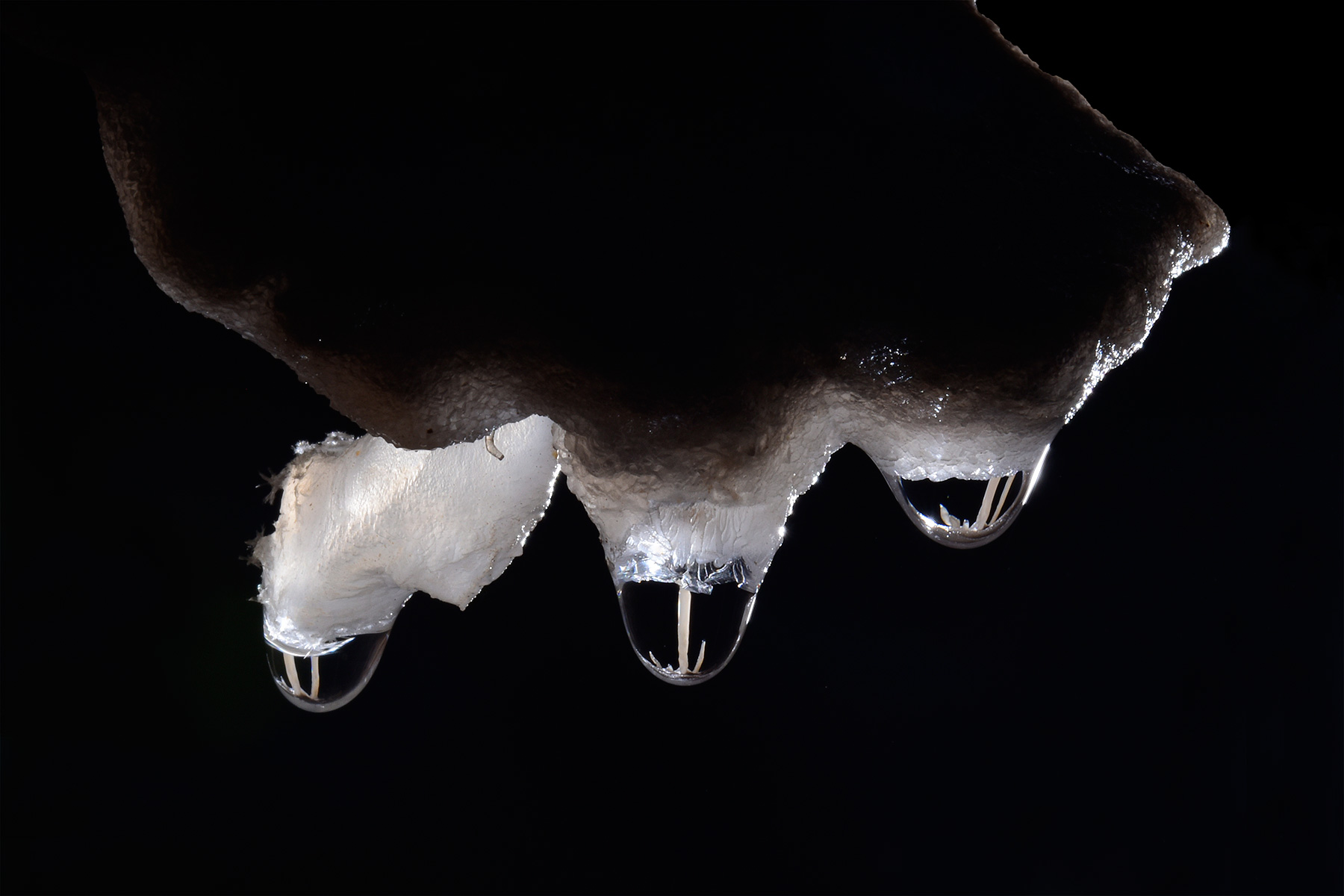 Barralong Cave (Jenolan Karst Conservation Reserve, Australie) - Reflets de fistuleuses dans les gouttes de trois petites stalactites