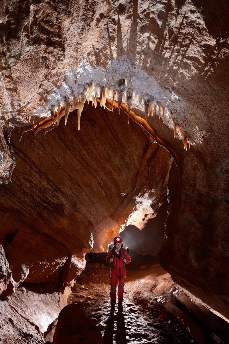 Henning Cave (Jenolan Karst Conservation Reserve, Australie) - Spéléo progressant dans une galerie sèche avec ensemble de stalactites au plafond