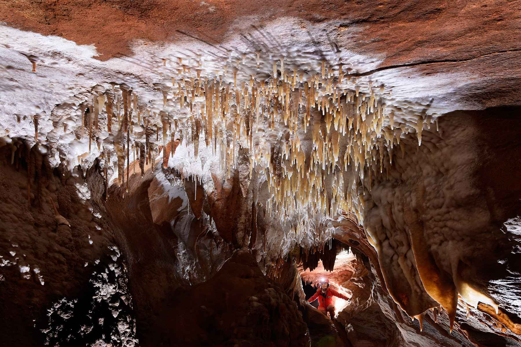 Henning Cave (Jenolan Karst Conservation Reserve, Australie) - Groupe de stalactites au plafond d'une galerie avec spéléo en fond