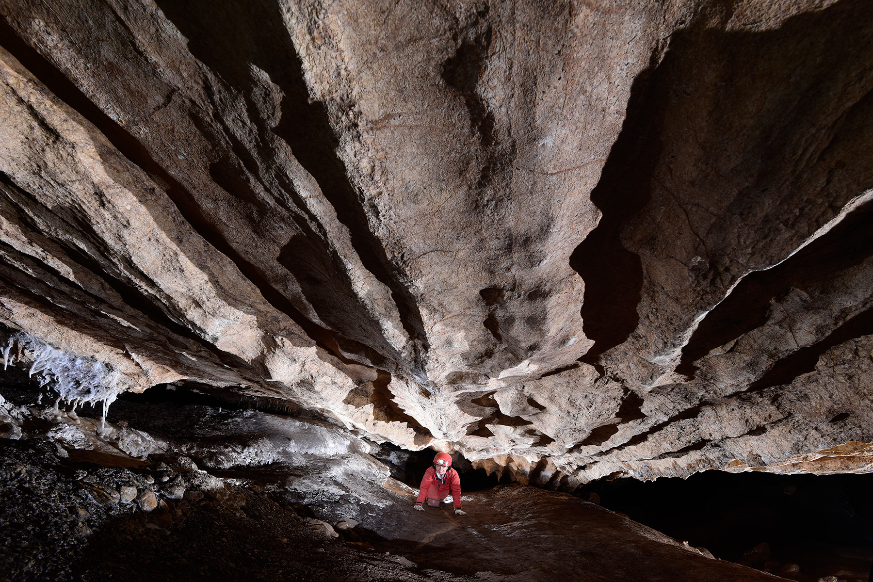 Mammoth Cave (Jenolan Karst Conservation Reserve, Australie) - Spéléo progressant à quatre pattes dans galerie basse corrodée