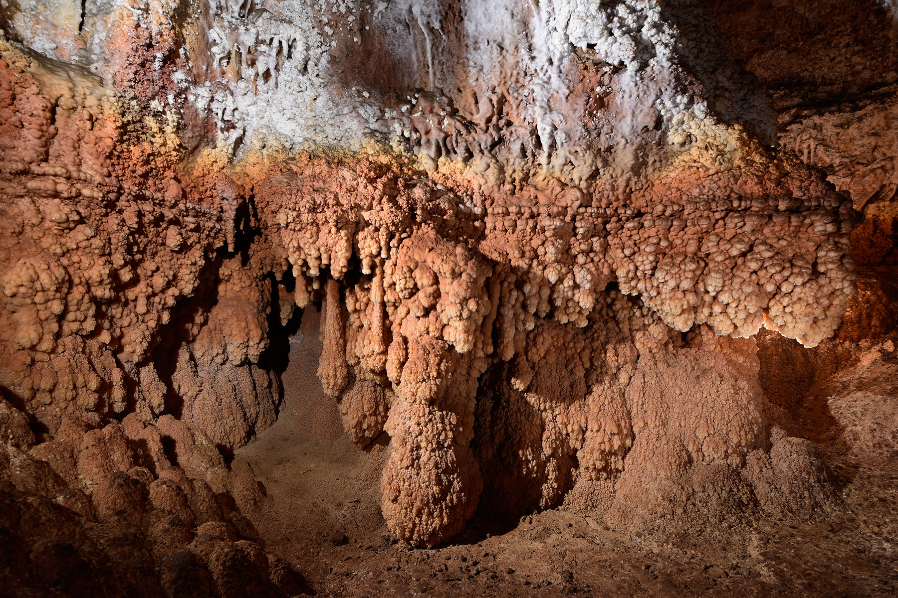 Aladdin Cave (Jenolan Karst Conservation Reserve, Australie) - Gour asséché avec cristallisations