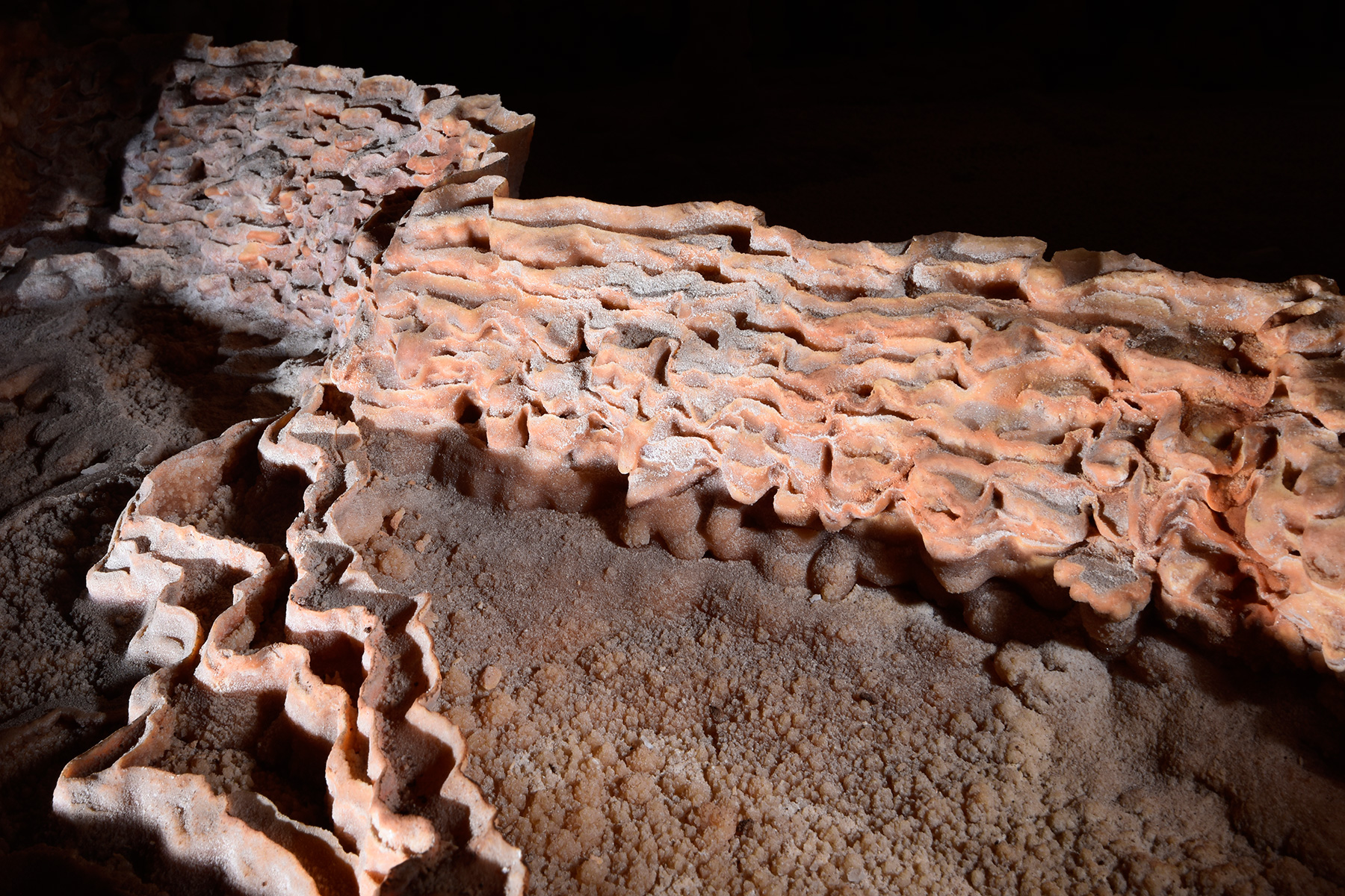 Aladdin Cave (Jenolan Karst Conservation Reserve, Australie) - Détail des murs de petits gours en calcite rose