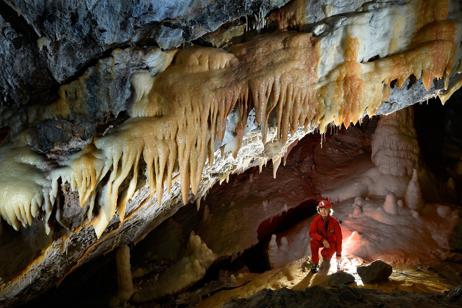 Grotte di Borgio Verezzi (Italie) - Stalactites colorées avec spéléo en fond